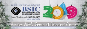 BSIC Guinee Cover site web